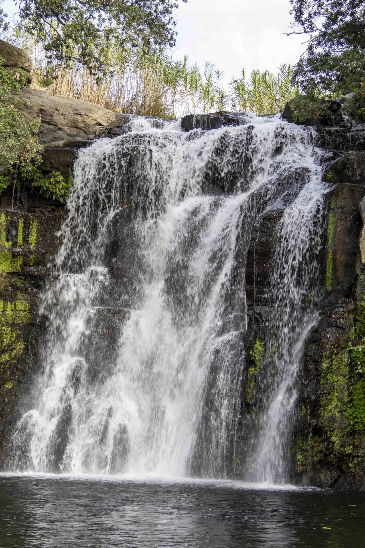 LA CASCATA DI SALABRONE: nel cuore della natura img 5021