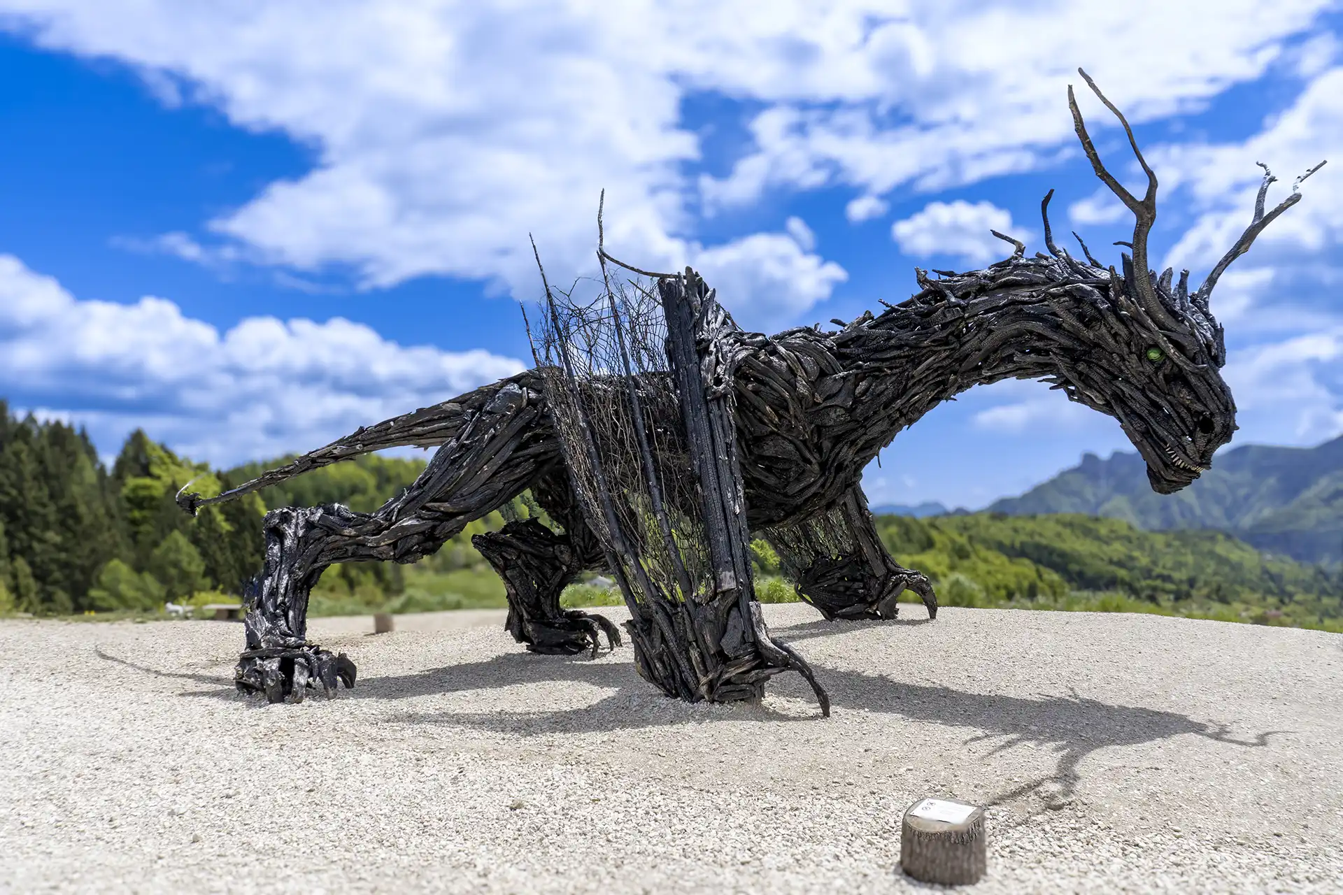 Drago Vaia
